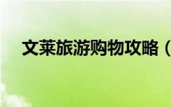 文莱旅游购物攻略（文莱旅游购物攻略）