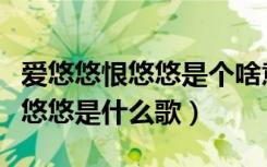 爱悠悠恨悠悠是个啥意思我都不懂（爱悠悠恨悠悠是什么歌）
