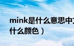 mink是什么意思中文翻译怎么读（mink是什么颜色）