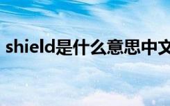 shield是什么意思中文（shield是什么意思）