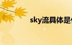 sky流具体是什么（sky流）