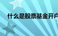 什么是股票基金开户（什么是股票基金）