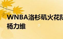 WNBA洛杉矶火花队官宣签约中国女篮国手杨力维
