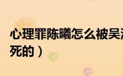 心理罪陈曦怎么被吴涵杀的（心理罪陈曦怎么死的）