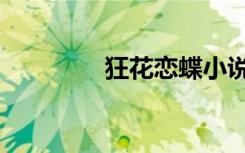 狂花恋蝶小说（狂花恋蝶）