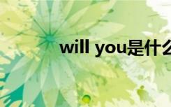 will you是什么意思（will u）
