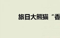 旅日大熊猫“香香”已飞抵成都