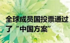 全球成员国投票通过！铁路电气化国际标准有了“中国方案”