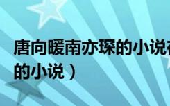 唐向暖南亦琛的小说在线阅读（唐向暖南亦琛的小说）