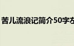 苦儿流浪记简介50字左右（苦儿流浪记简介）