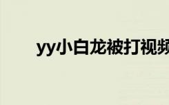 yy小白龙被打视频（yy小白龙被打）