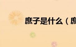庶子是什么（庶子是什么意思）