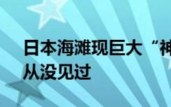 日本海滩现巨大“神秘球” 海保人员疑惑：从没见过