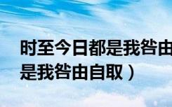 时至今日都是我咎由自取 文章（时至今日都是我咎由自取）