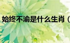 始终不渝是什么生肖（始终不渝是什么意思）