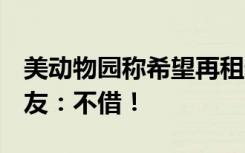 美动物园称希望再租借一对年轻大熊猫......网友：不借！