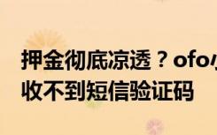 押金彻底凉透？ofo小黄车已无法登录，用户收不到短信验证码