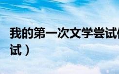 我的第一次文学尝试体裁（我的第一次文学尝试）