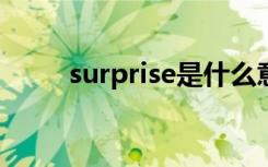 surprise是什么意思（surprises）