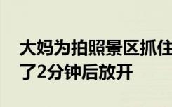 大妈为拍照景区抓住海鸥喂麻花 目击者：抓了2分钟后放开