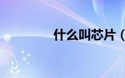 什么叫芯片（什么叫屌丝）