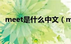 meet是什么中文（meet是什么中文意思）