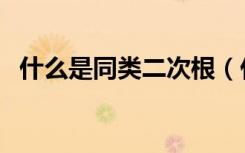 什么是同类二次根（什么是同类二次根式）