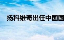 扬科维奇出任中国国家男子足球队主教练