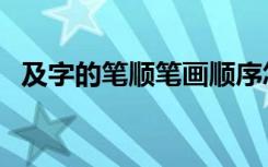 及字的笔顺笔画顺序怎么写（及字的笔顺）