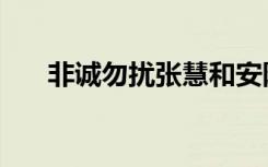 非诚勿扰张慧和安阳（非诚勿扰张慧）