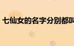 七仙女的名字分别都叫什么（七仙女的名字）