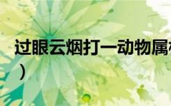 过眼云烟打一动物属相（过眼云烟打一个生肖）