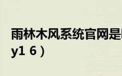 雨林木风系统官网是哪个（雨林木风系统diy y1 6）