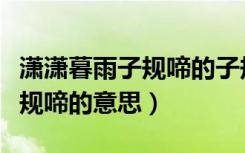 潇潇暮雨子规啼的子规是什么鸟（潇潇暮雨子规啼的意思）