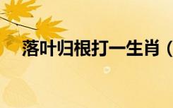落叶归根打一生肖（落叶归根打一生肖）