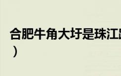 合肥牛角大圩是珠江路以南吗（合肥牛角大圩）