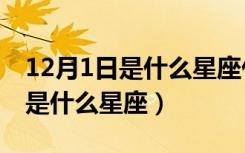 12月1日是什么星座什么性格的人（12月1日是什么星座）