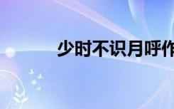少时不识月呼作白玉盘（少时）