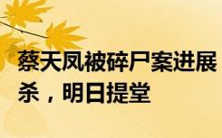 蔡天凤被碎尸案进展：前夫哥哥及父亲被控谋杀，明日提堂