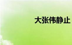 大张伟静止（大张伟吧）