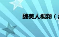 魏美人视频（魏美人谁演的）