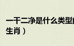 一干二净是什么类型的词语（一干二净是什么生肖）
