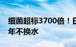 细菌超标3700倍！日本百年温泉旅馆被曝半年不换水