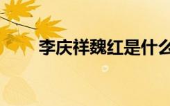 李庆祥魏红是什么电视剧（李庆普）
