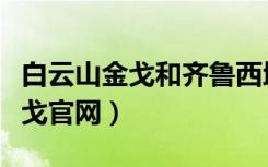 白云山金戈和齐鲁西地那非哪种好（白云山金戈官网）