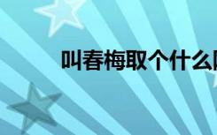 叫春梅取个什么网名好（叫春声）