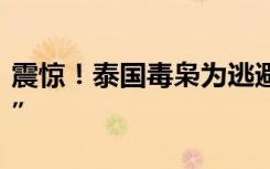震惊！泰国毒枭为逃避追捕整容成“韩国欧巴”