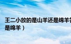 王二小放的是山羊还是绵羊答案 文案（王二小放的是山羊还是绵羊）
