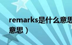 remarks是什么意思中文（remarks是什么意思）
