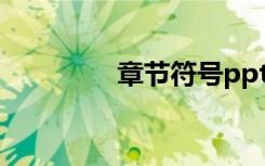 章节符号ppt（章节符号）